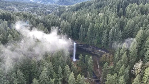 Aerial View of Mist, Forest, and a Scenic Waterfall in Oregon 스톡 동영상 301558243