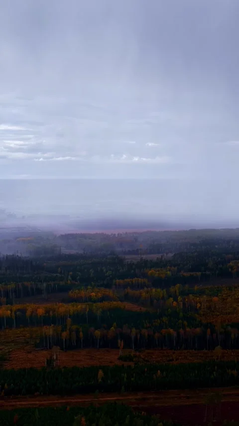 Aerial View of Mist Rolling Over Autumn Forest Beneath Overcast Sky at Daybreak Stock Footage 336238623