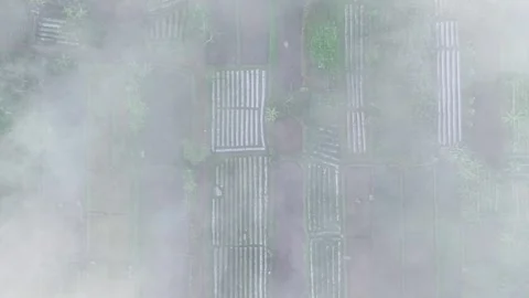 Aerial view of misty agricultural fields, Indonesia. Stock Footage 320105345