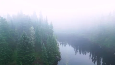 Aerial View of Misty Boreal Forest Beside a Calm Dark Lake, Canada Vidéo 336947820