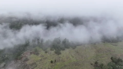 Aerial View of Misty Clouds Drifting Through Santa Cruz Mountains Stock Footage 296605764