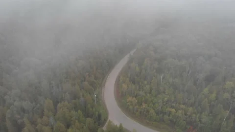 Aerial view of a misty forest in Bruce Peninsula Stock Footage 143211544