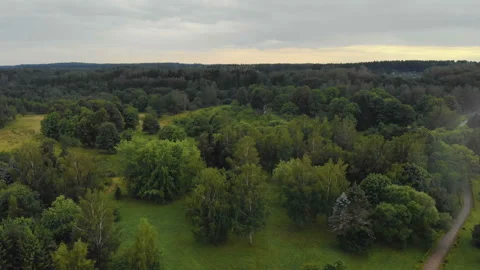 Aerial view misty forest with deciduous and coniferous trees Stock Footage 95865297