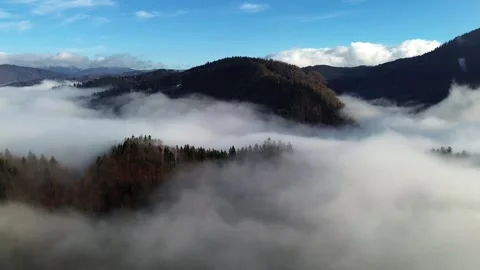Aerial view of a misty forest with dense trees covered in fog, Slow forward 스톡 동영상 295952072