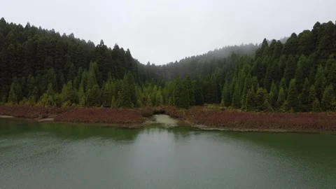 Aerial View of Misty Forest Reflected in Serene Lake on Azores Island 库存影片 301734494