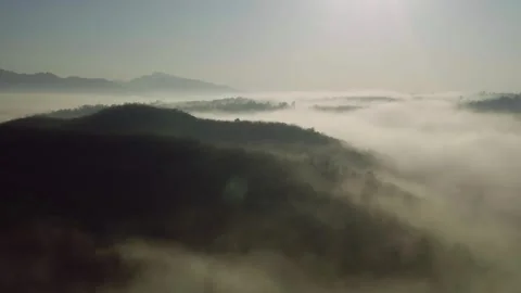 Aerial view of misty forest with river flowing through dense trees 스톡 동영상 332887872
