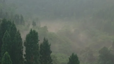 Aerial view of misty forest in West Java, Indonesia. Vídeos de archivo 337856532