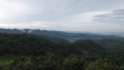 Aerial View of Misty Mountain Forest Landscape Stock Footage 343858757