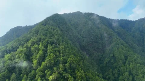 Aerial View of Misty Mountain Forest Stock Footage 346723491