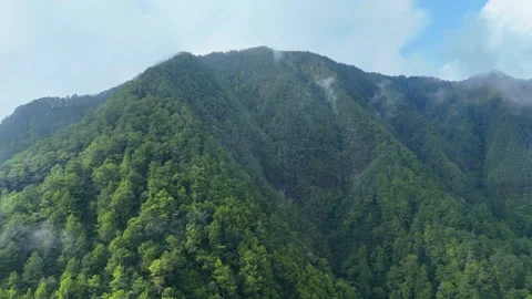 Aerial View of Misty Mountain Forest Stock Footage 346723506