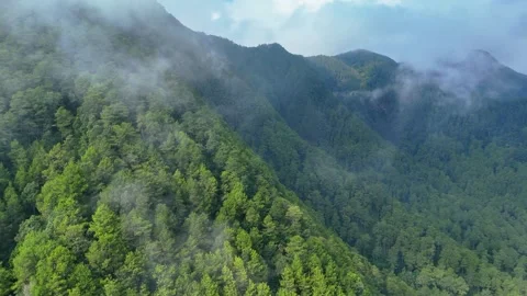 Aerial View of Misty Mountain Forest Stock Footage 346723692