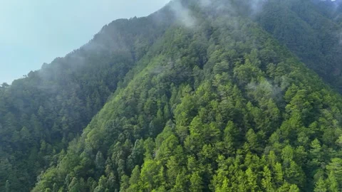 Aerial View of Misty Mountain Forest Stock Footage 346723757