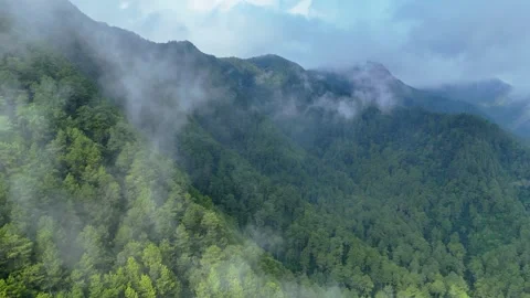 Aerial View of Misty Mountain Forest Stock Footage 346723860