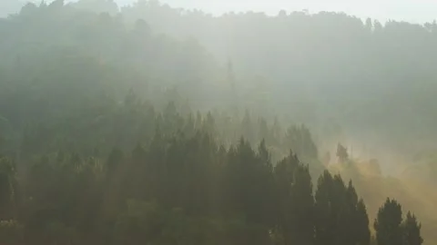 Aerial view of misty pine forest in Sukabumi, Indonesia. Stock Footage 336421028