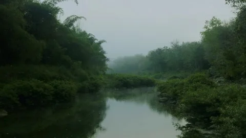 Aerial view of misty river flowing through dense forest with fog atmosphere Video stock 332886497