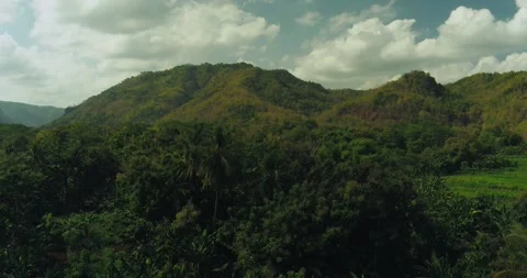 Aerial view of misty river flowing through tropical forest landscape 스톡 동영상 332887192