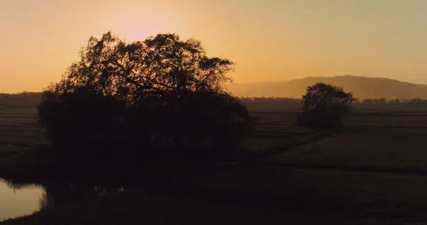 Aerial view of misty river flowing through tropical forest at sunrise Video stock 332887549