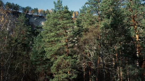 Aerial view of mixed forest and high cliffs Stock Footage 118002122