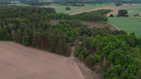 Aerial view of mixed forest and agricultural fields landscape Video stock 336514368