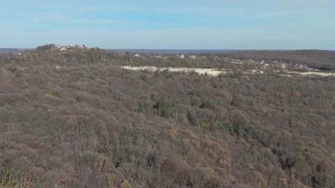 Aerial View of Mixed Forest with Bare Trees and Green Foliage Stock Footage 324889671