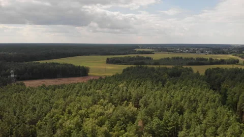 An aerial view of a mixed forest during daytime with variable cloud cover. Stock Footage 169502214