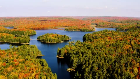 Aerial view of a mixed forest, lake and island in autumn Ontario Canada Stock Footage 153433832