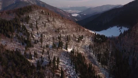 Aerial view of mixed winter forest in hilly mountain alpine landscape Stock Footage 171992765