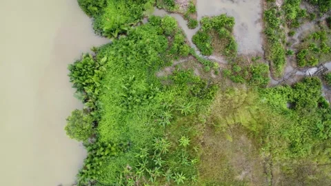 Aerial view of a moat beside a large river) Stock Footage 245427165