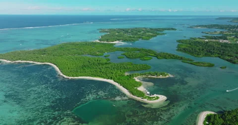 Aerial view. Modern and ecologic green spaces with many trees. Lots of green Stock Footage 196608233