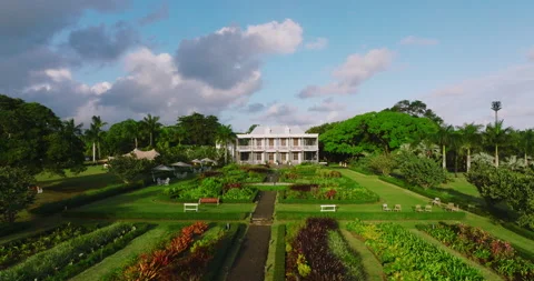 Aerial view. Modern and ecologic green spaces with many trees. Lots of green 스톡 동영상 197046581