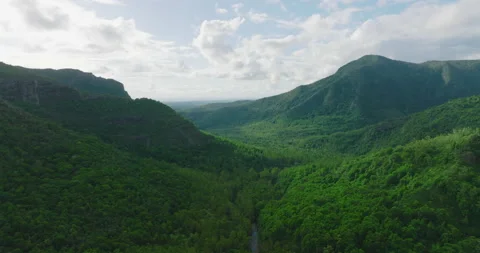 Aerial view. Modern and ecologic green spaces with many trees. Lots of green Видео 197986965