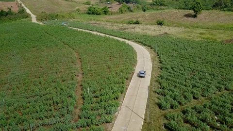 Aerial view of modern car speeding on winding road in green agricultural fields. Stock-Footage 101437217