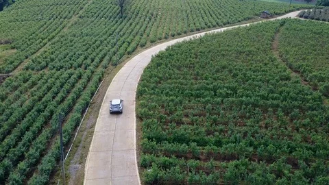 Aerial view of modern car speeding on winding road in green agricultural fields. Stock-Footage 101437855