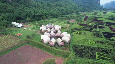 Aerial view of a modern eco-friendly resort nestled in a lush green valley Stock Footage 341950411