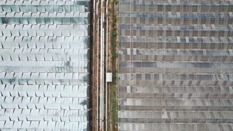Aerial view of modern greenhouse complex Stock Footage 237296478