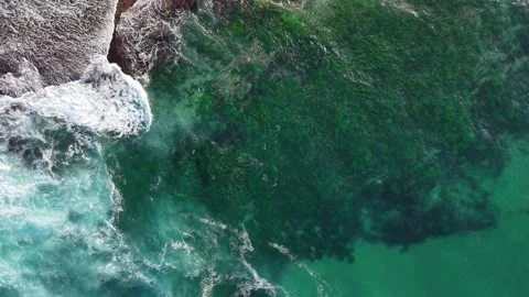 Aerial view of Mona Vale Beach, Northern Beaches NSW, Sydney, Australia. Stock Footage 325931455