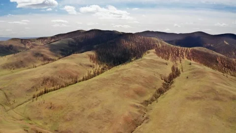 Aerial view of Mongolian steppes with forests and hills. Stock Footage 254328092