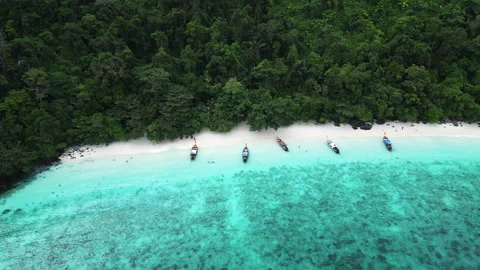 Aerial view of Monkey Beach on Ko Phi Phi Island, Thailand Stock Footage 318726805