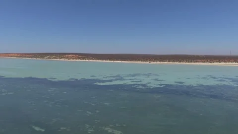 Aerial View of Monkey Mia Dolphin Resort, Denham, Shark Bay, Western Australia. Vídeo Stock 330724061