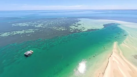 Aerial View of Monkey Mia Dolphin Resort, Denham, Shark Bay, Western Australia. Video stock 330726050