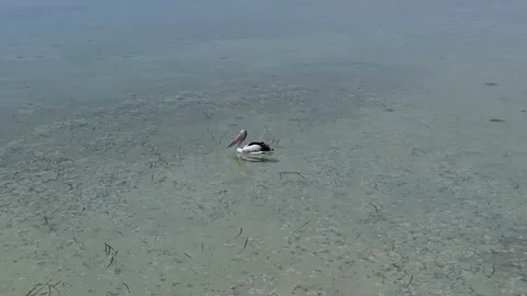 Aerial View of Monkey Mia Dolphin Resort, Denham, Shark Bay, Western Australia. Video stock 330740738
