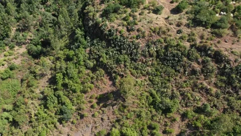 Aerial view of monolithic rock-cut church of bete giyorgis Lalibela, Ethiopia Stock Footage 209264407