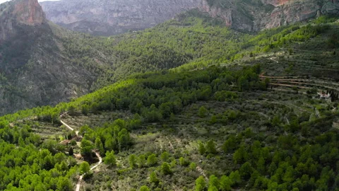 Aerial view of Monte Ponoig and forest around. Stock Footage 287223499