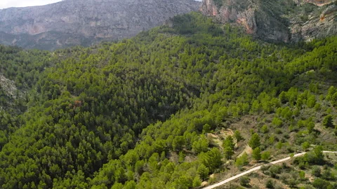 Aerial view of Monte Ponoig and forest around. Stock Footage 287223670