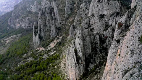 Aerial view of Monte Ponoig and forest around. Stock Footage 287224988
