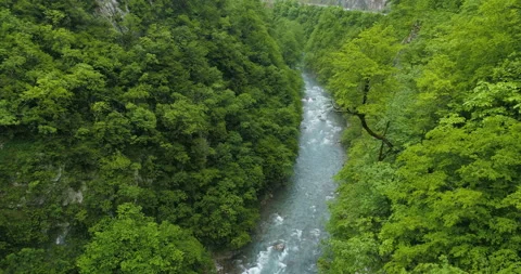 Aerial view of Moraca mountain river canyon. Stock Footage 109166400
