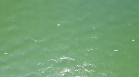 Aerial view of Moraca river which flows into beauty big Skadar lake Stock Footage 62730061