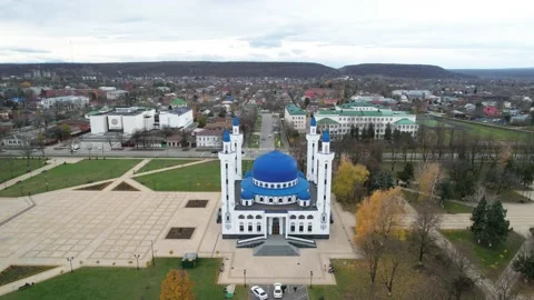 Aerial view of the mosque with blue domes. Stock Footage 222419264