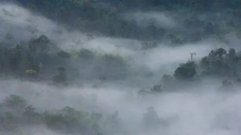 Aerial view motion. Stock Footage 171959330