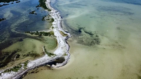 Aerial view of mouflon running in shallow water Stock-Footage 121765624